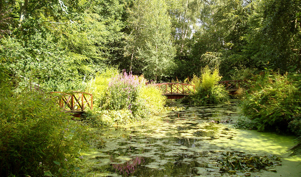 The Water Garden