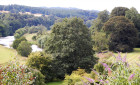 The river Teviot