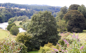 The river Teviot