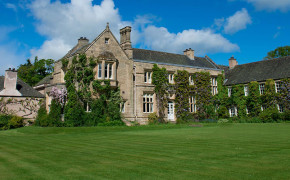 The house