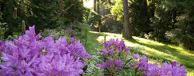 The Arboretum