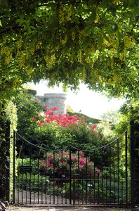 Laburnum Tunnel looking into River Garden and Viewpoint