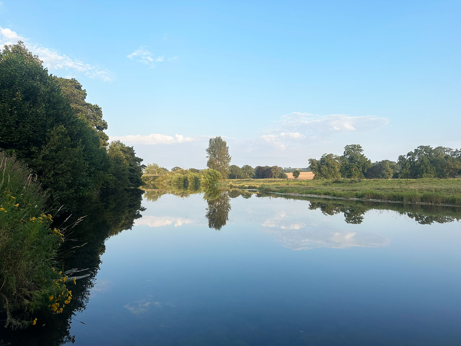 The River Teviot from Monteviot Gardens